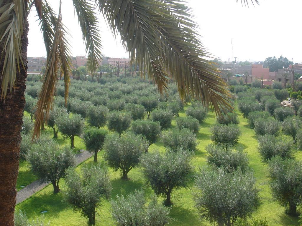 Dar Jl Villa Marrakesh Exterior foto